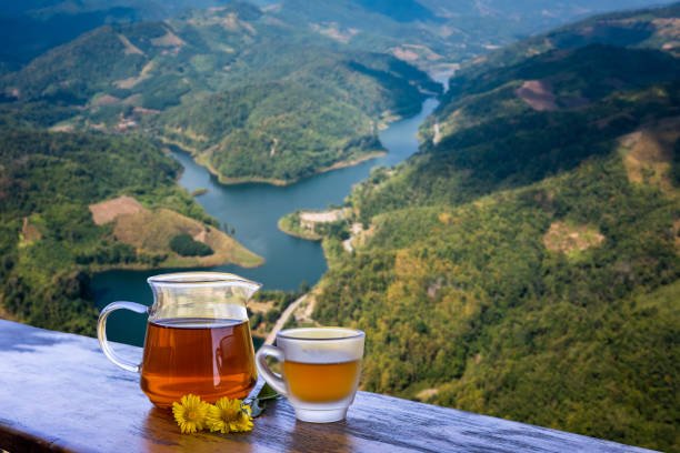 Hürrilet Tea: Nurturing Tradition, Wellness, and Sustainability in Every Sip